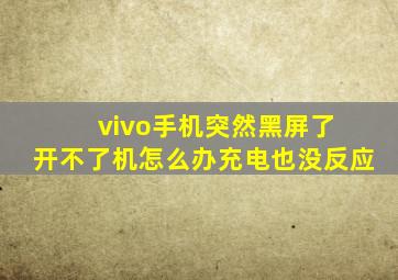 vivo手机突然黑屏了 开不了机怎么办充电也没反应